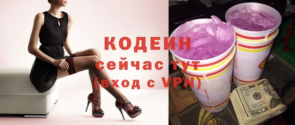 mdpv Богородицк