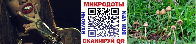 Галлюциногенные грибы мухоморы  Новая Усмань 